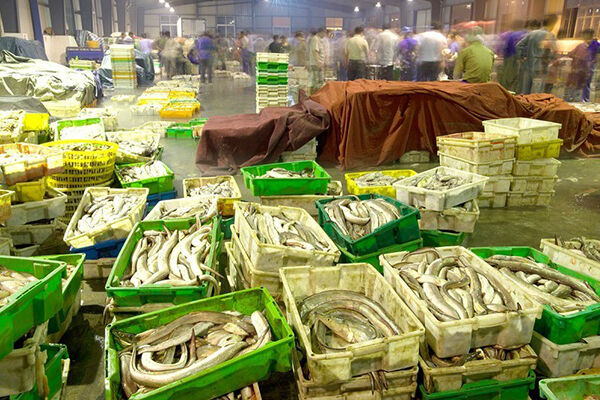 紅紅火火的水產品批發市場--岱山新聞網