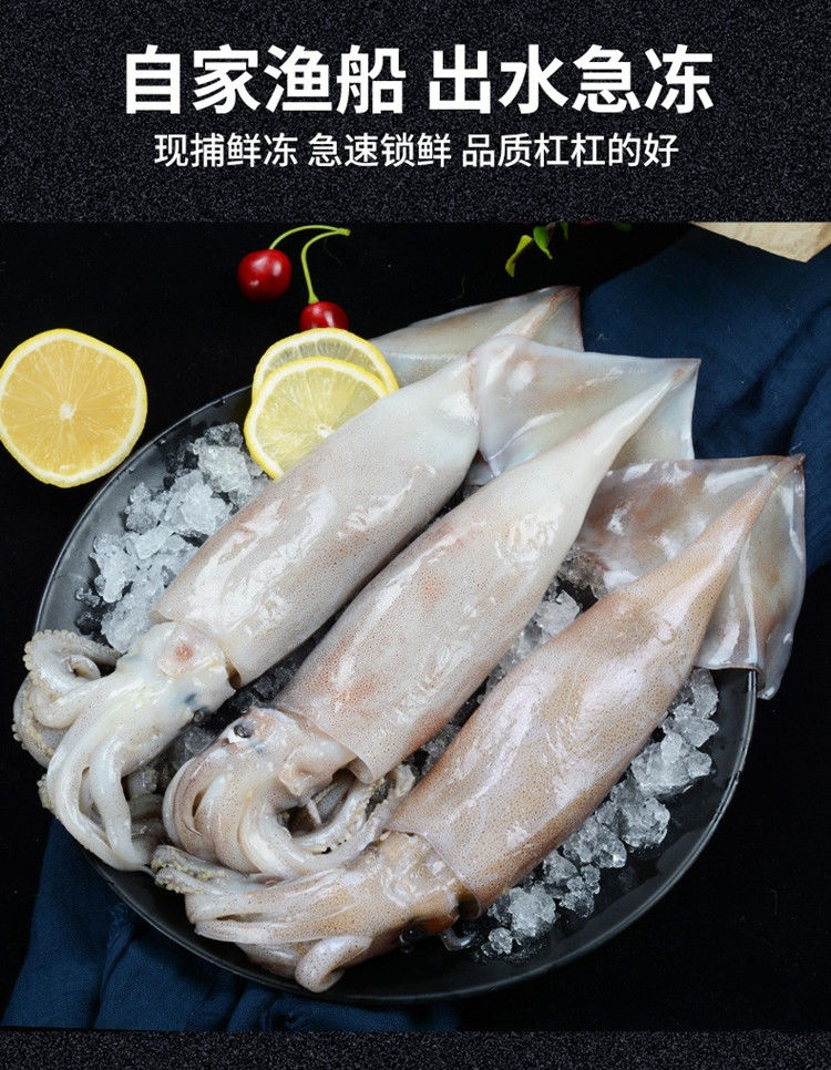 【鮮魷魚】不掛冰整只大魷魚冷凍冰鮮野生魷魚燒烤海鮮水產類新鮮