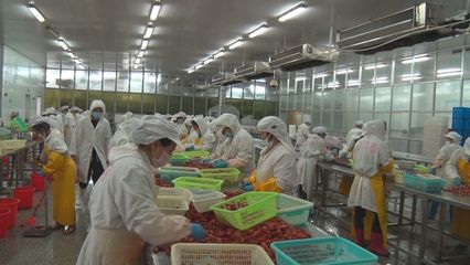 鄱湖水產食品:出口轉內銷 危機中尋發展