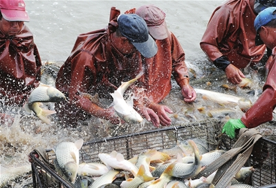 濱海新區北塘街再造現代化“魚米之鄉”