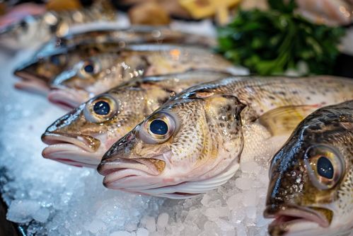 水產銀鱈魚海鮮海產批發 攝影圖