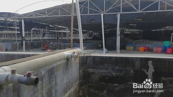 蝦池漆 養蝦池漆 工廠化水產養殖專用施工規范