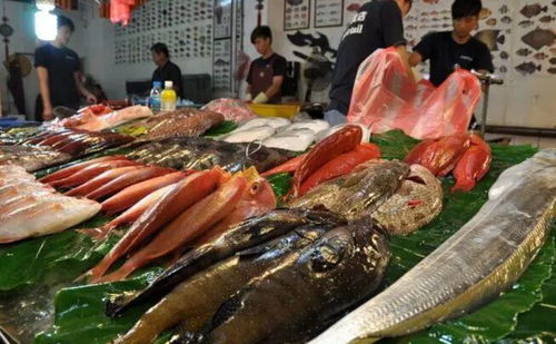 臺灣銷往大陸水產被卡,60億元產品將受影響,臺當局急得跳腳