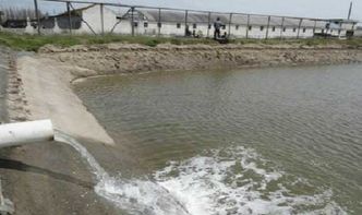 11月份水產養殖管理重點