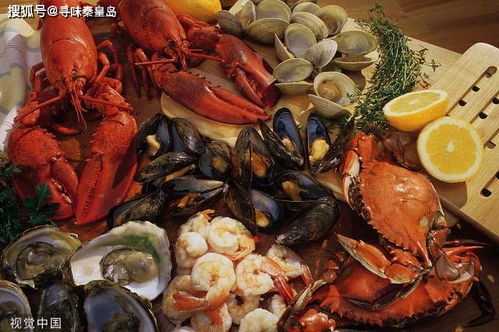 潮玩北戴河夜場,新玩法新吃法,再來一場炫彩的邂逅