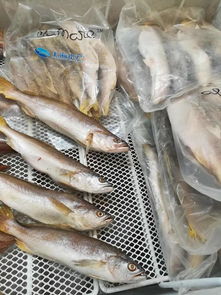 上海水產打造 從漁場到市場 的高效產業鏈,讓百姓的餐桌 更豐盛