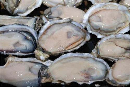 本執意要排廢水入海,我國水產供應商果斷取消了日本采購合同