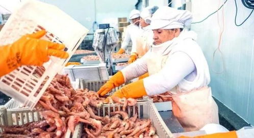 阿根廷與中國達成漁業與水產養殖合作共識