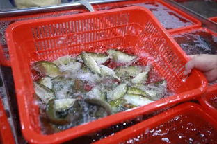 中山美食游 美食有煮意 菜丁 岐港海鮮水產市場的原材料,能做出一桌 大菜 內含食譜