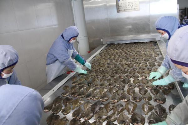 琿春水產加工業發展迅猛 打造國際水產基地_新浪財經_新浪網