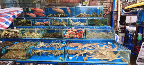 平靚正海鮮大量上市,專家解答 哪些水產品不宜吃