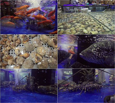 海鮮水產市場_3840X2160_高清視頻素材下載(編號:3675051)_實拍視頻