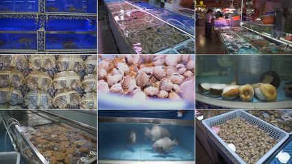 水產市場海鮮市場