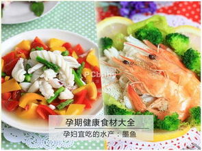 孕期宜吃的水產 墨魚