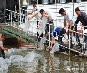 中國水產科學研究院2018年度獲獎項目公布 多項涉海