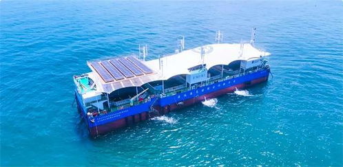 全國首座深海養殖綜合實驗平臺落戶威海