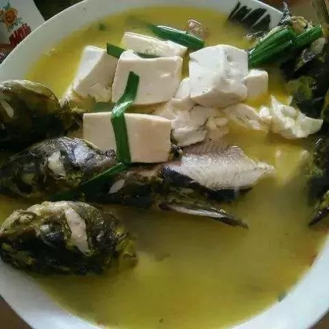 常州人注意 餐桌上的昂公竟被喂了化工染料,黑心養(yǎng)殖戶(hù)被送上法庭