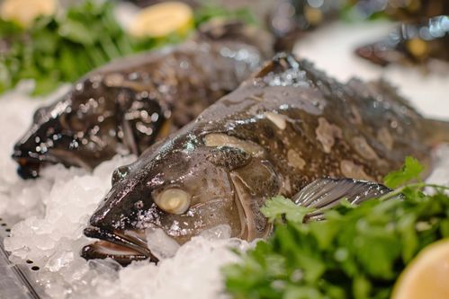 水產(chǎn)銀鱈魚(yú)海鮮海產(chǎn)批發(fā) 海報(bào) 下載至來(lái)源處