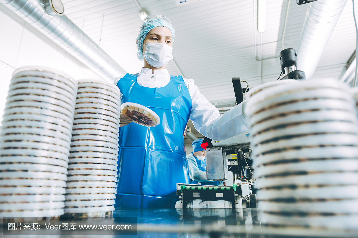 魚(yú)海鮮工廠