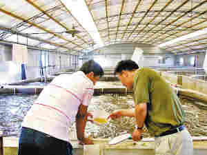 天津:漢沽大力推進(jìn)水產(chǎn)品養(yǎng)殖工廠化生產(chǎn)_水產(chǎn)快訊(水產(chǎn)養(yǎng)殖)_中國(guó)水產(chǎn)養(yǎng)殖網(wǎng)