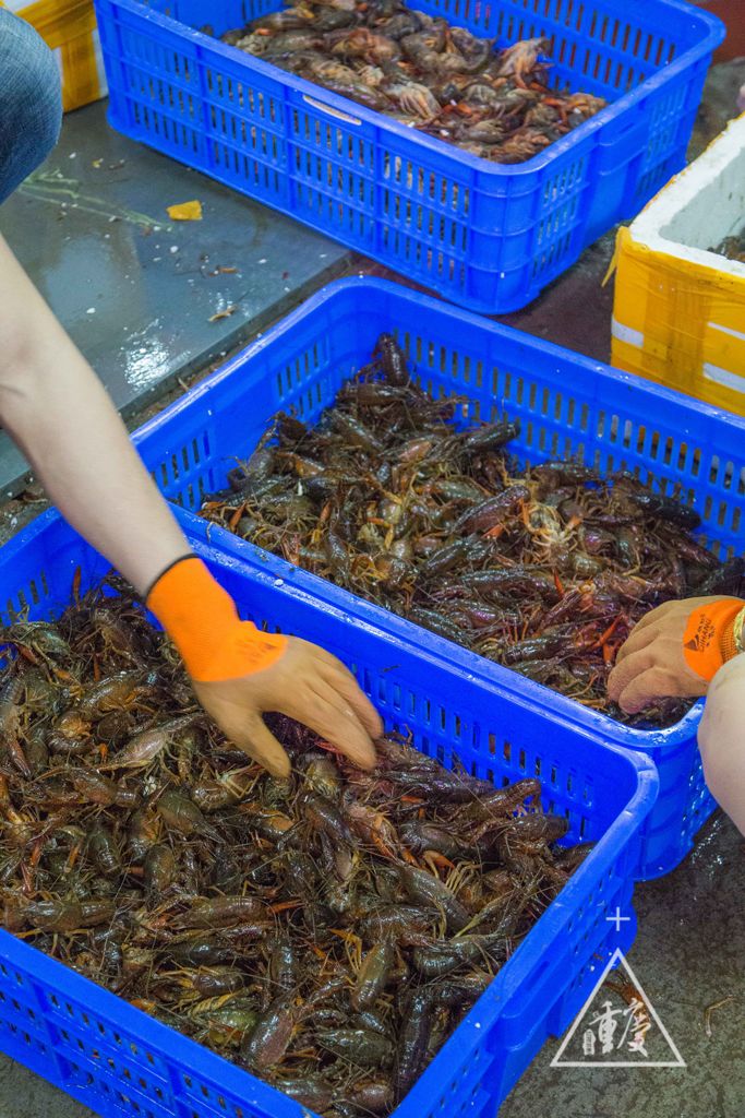 還去啥子三亞灣!這才是重慶最資格的水產(chǎn)市場(chǎng)!