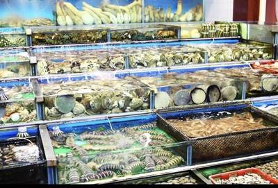 生鮮電商行業(yè)首個(gè)水產(chǎn)品控綠皮書(shū)發(fā)布:推動(dòng)生鮮供應(yīng)鏈規(guī)范化升級(jí)