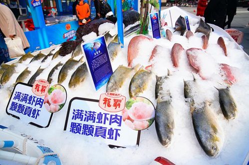 聚力共贏 鏈接未來(lái) 國(guó)聯(lián)水產(chǎn)攜手大張集團(tuán) 保亭會(huì)開(kāi)啟中國(guó)海鮮盛宴