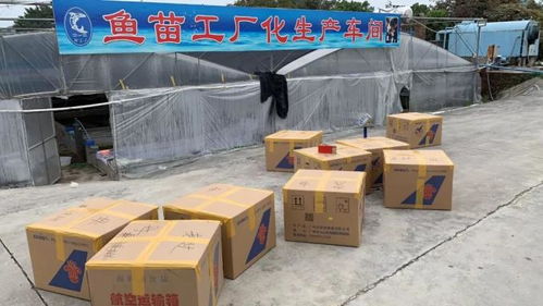 花都4 6月份水產品監督抽查 全部合格