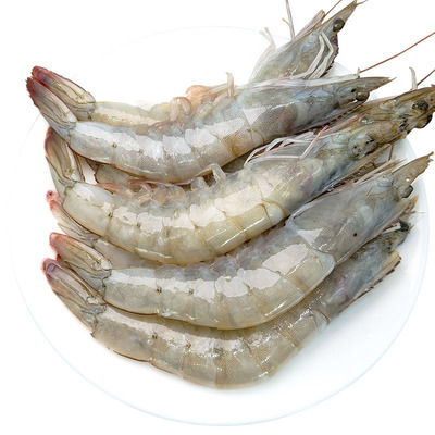 青島大蝦鮮活海鮮冷凍蝦海鮮水產基圍蝦新鮮青蝦野生海捕大對蝦