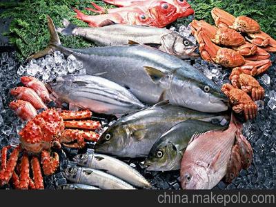 「圖」冷凍水海鮮產品圖片3