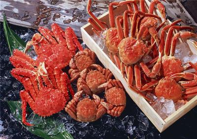 大連進口水產品清關費用