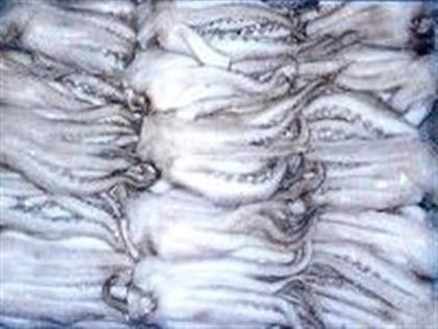 冷凍帶魚 鮑魚批發價格 冷凍墨魚批發 江蘇冷凍水產品批發廠家【圖】- 勤加緣網