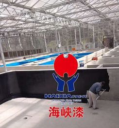 澳洲墨瑞鱈工廠化養殖技術要點