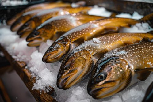 生鮮海鮮水產鱈魚圖片 海報 下載至來源處