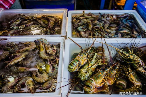 泰國蘇梅島將允許5國游客進入,這里都有哪些值得一去的地方