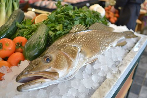 生鮮海鮮水產鱈魚素材 攝影圖