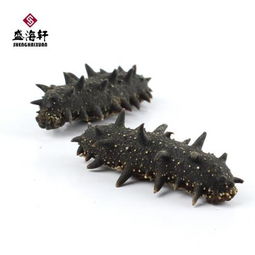 盛海軒淡干刺參 連鑫水產