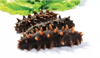 江蘇新聞綜合廣播采訪小6水產網金牌商家 吃海參為什么要選威海刺參