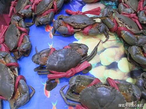 9月水產季,6種海鮮最該吃,個頭肥美味道鮮,漁民成箱往家里搬