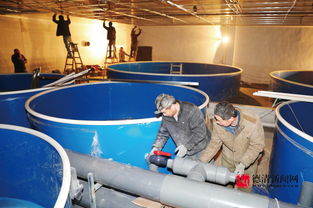 水產養殖工廠化