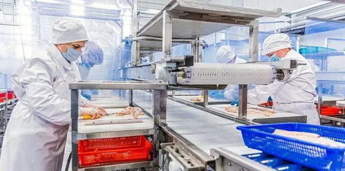 受中國港口疫情防控政策影響,俄羅斯加強建設本土水產加工廠