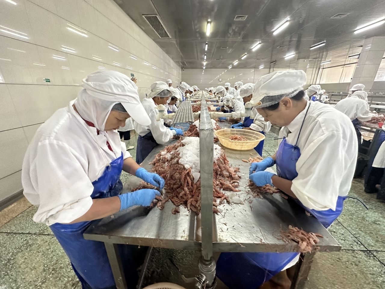 提升食材"生產力"!鍋圈"超級河鮮智能工廠"石首投產_長江云 - 湖北網