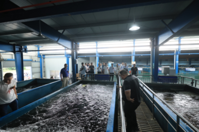 大動作!恒興國際成立,打造大宗原料全球供應鏈平臺