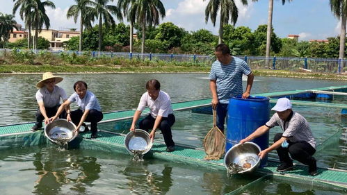 廣東水產種業又有新招,多個新品種接受養殖測試