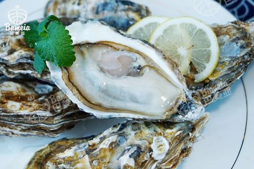 福建優益佳水產 優益佳水產 用心做好蠔