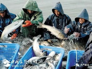 有一種人叫水產人 2017年度最可愛的人,為你們點贊