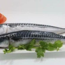  揚州市廣陵區奕建水產經營部 主營 冷凍水產 肥牛卷 羊