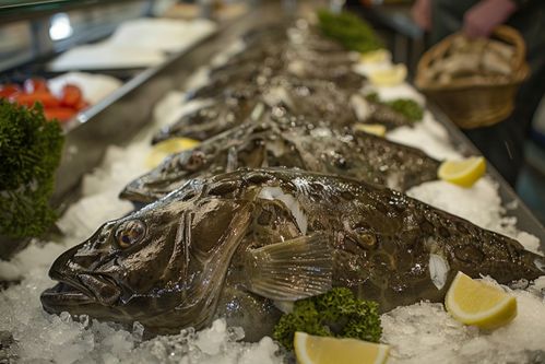 海產品食材水產鱈魚 海報 下載至來源處
