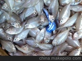 食用玻璃供應商,價格,食用玻璃批發市場 