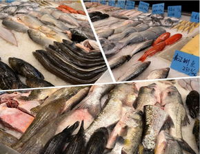 推進水產養殖業綠色發展,2019年全國水產養殖用藥減量行動正式啟動